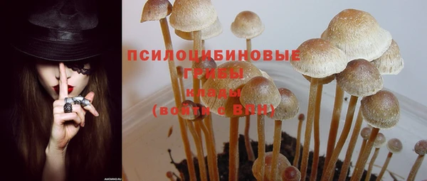 крисы Беломорск