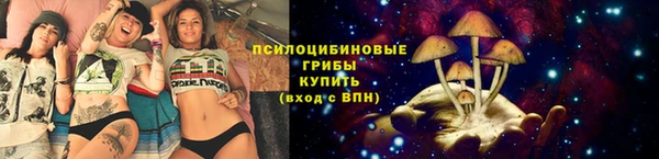 крисы Беломорск