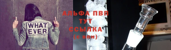 прущие крисы Белокуриха