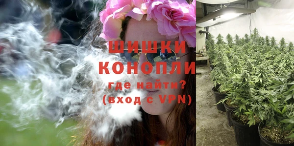 прущие крисы Белокуриха