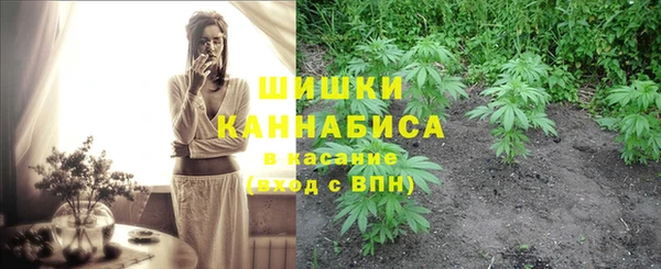 крисы Беломорск