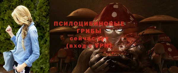 прущие крисы Белокуриха